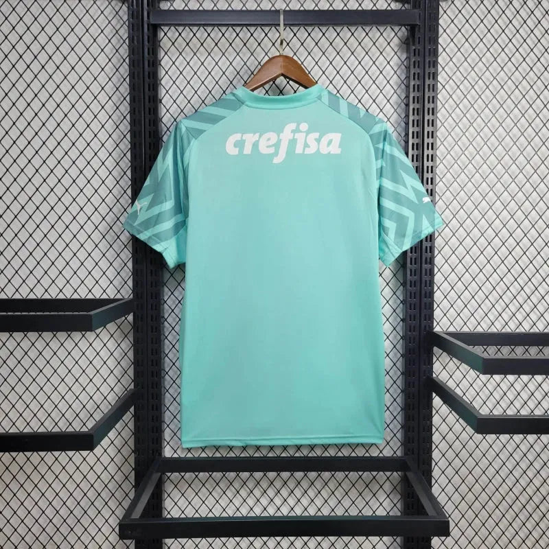 Camisa Palmeiras Goleiro 24/25 - Torcedor Masculina Verde