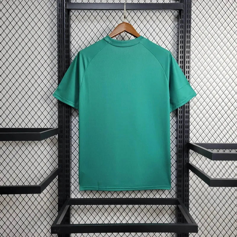Camisa Palmeiras Treino 24/25 - Torcedor Masculina Verde