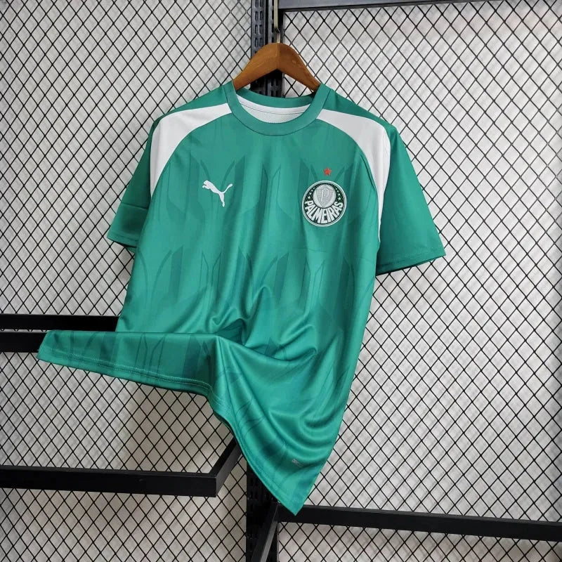 Camisa Palmeiras Treino 24/25 - Torcedor Masculina Verde